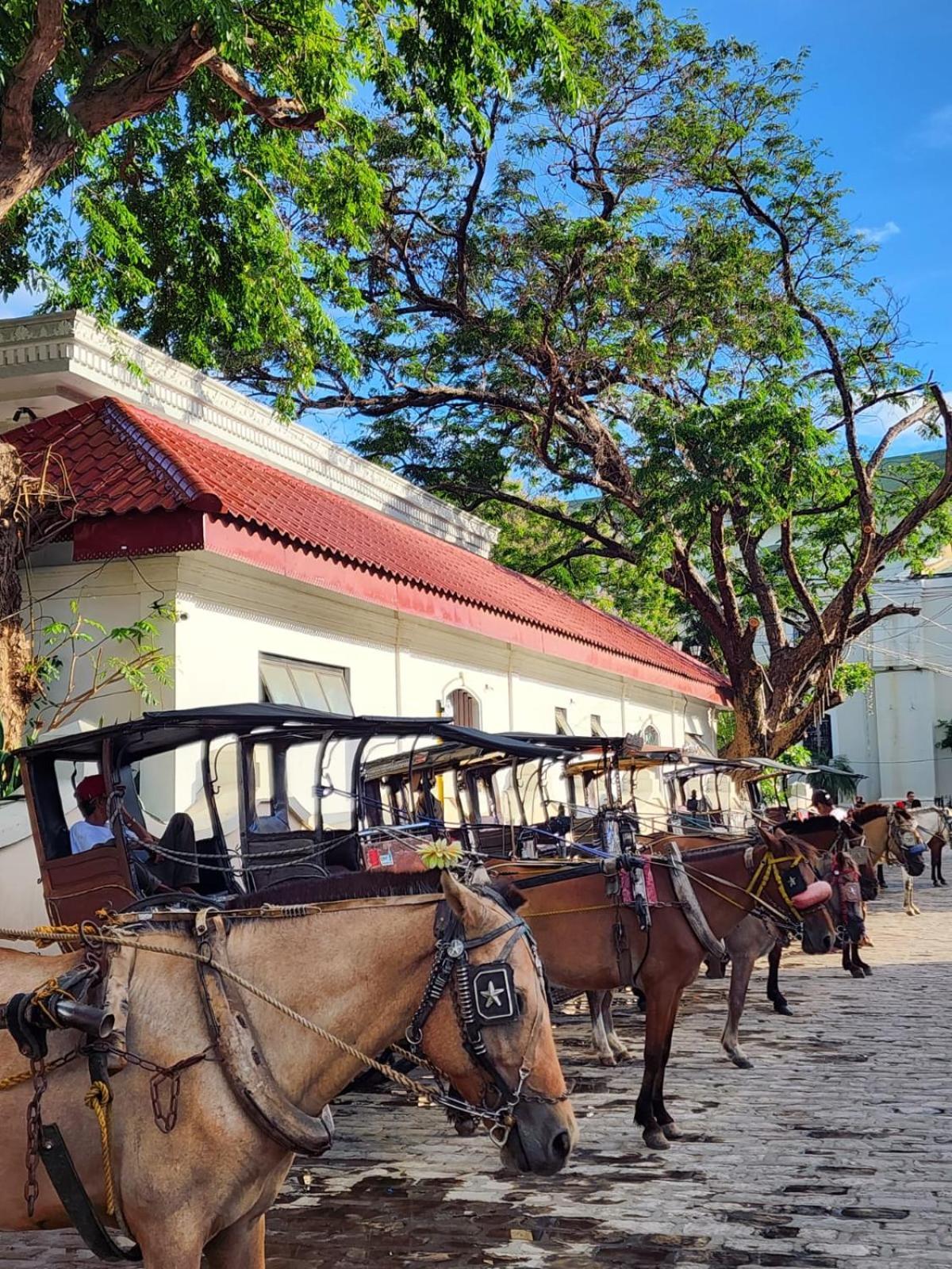 The River House - Loft Unit - Vigan City Exterior foto